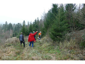 Es weihnachtet in St. Crescentius (© Karl-Franz Thiede)